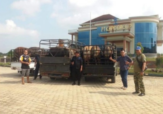 Sambut Hari Raya Idul Adha Keluarga Besar H.Syamsudin Ibrahim Salurkan 18 Sapi Untuk di Qurban