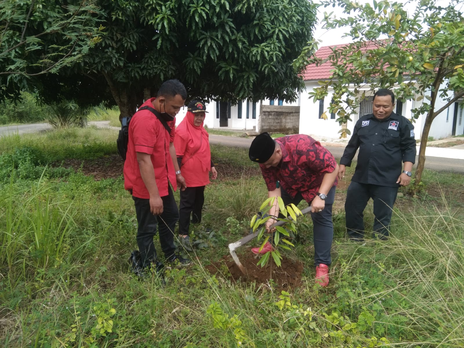 HUT Partai PDI Perjuangan Ke-49 dan Ultah Megawati DPC Partai PDI-P Bungo Gelar Tanam Bibit Pohon Secara Serentak