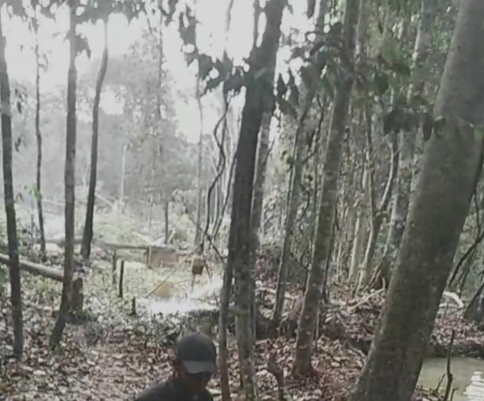 Tak Ada Efek Jera,Peti Diduga Milik Pak Reka Dijalan Loging Kuamang Kuning Unit 9 Sudah Merusak Lingkungan