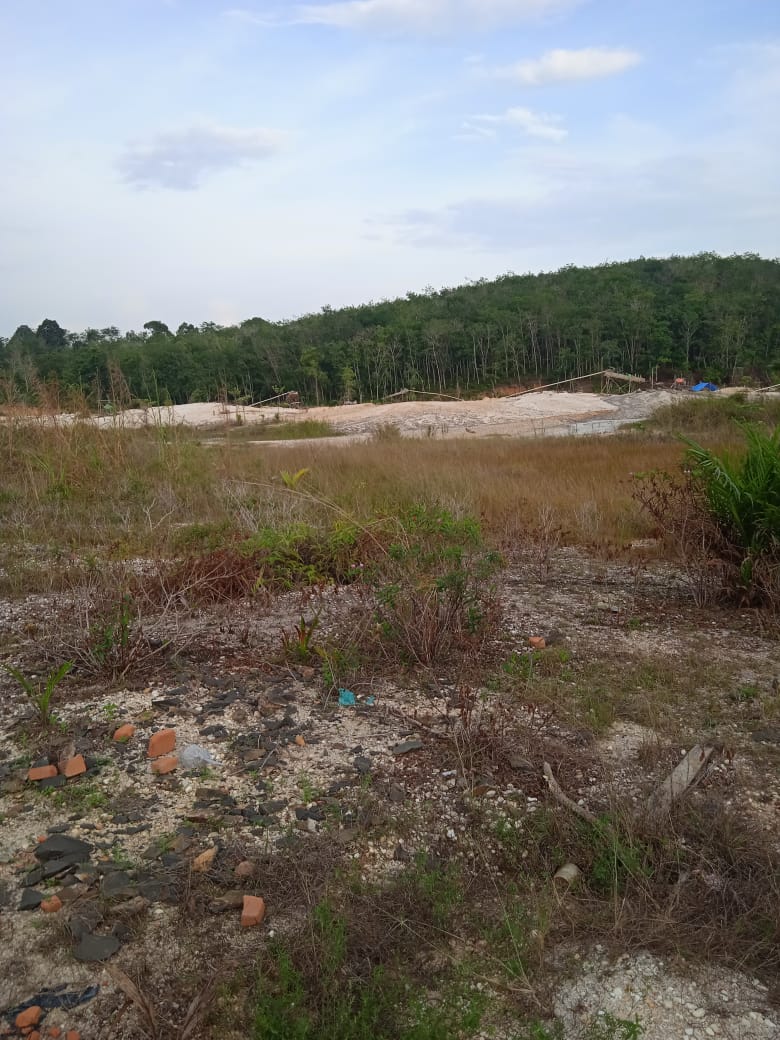 PETI Kembali Memakan Korban,Diduga 2 Orang  Pekerja Dompeng Didusun Sungai Buluh Tewas Tertimbun