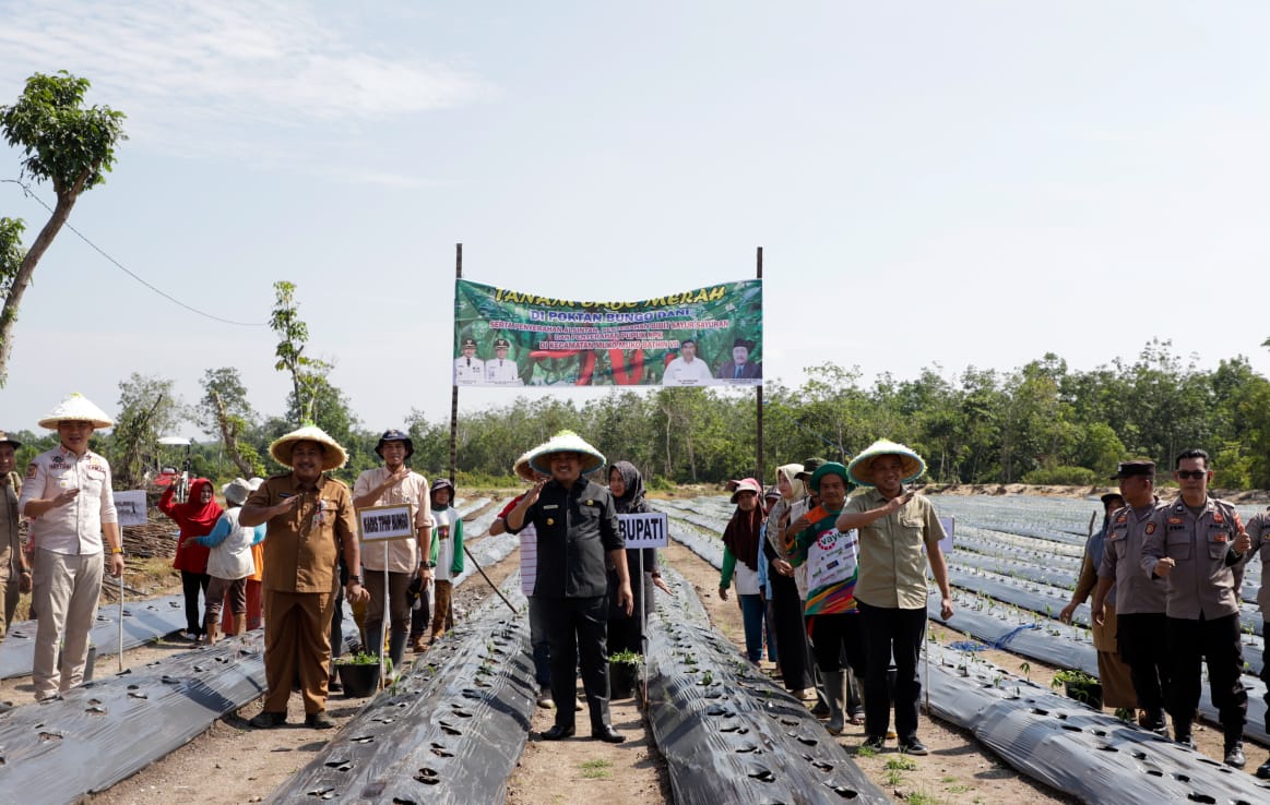 Dinas TPH-Bun Bungo Bersama Bupati dan Wabup, Melaksanakan Kegiatan Penyerahan Bantuan Alsintan dan Penanaman Cabe Perdana di Dusun Suka Jaya