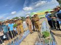 Bantu Tingkatkan Program Ketahanan Pangan,Kadis TPH-Bun Bungo Tanam Cabe Merah Perdana di Dusun Sepunggur