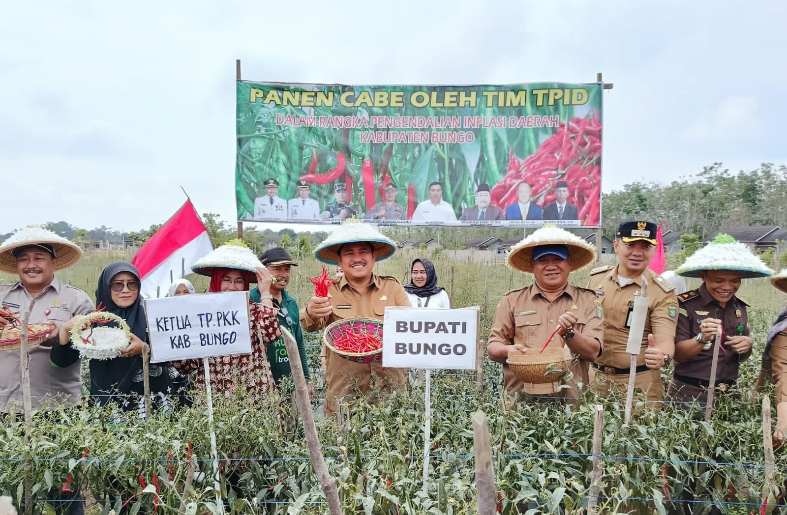 Bupati Didampingi  Kadis TPH-Bun Bungo Lakukan Panen Cabe Merah Bersama dan Serahkan Bantuan Obat-obatan Pertanian