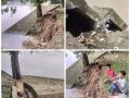 Lambannya Kinerja Pemerintah Dalam Perbaikan,Turap Penahan Tebing Tepi Sungai Dusun Tanjung Menanti Ambruk dan Roboh