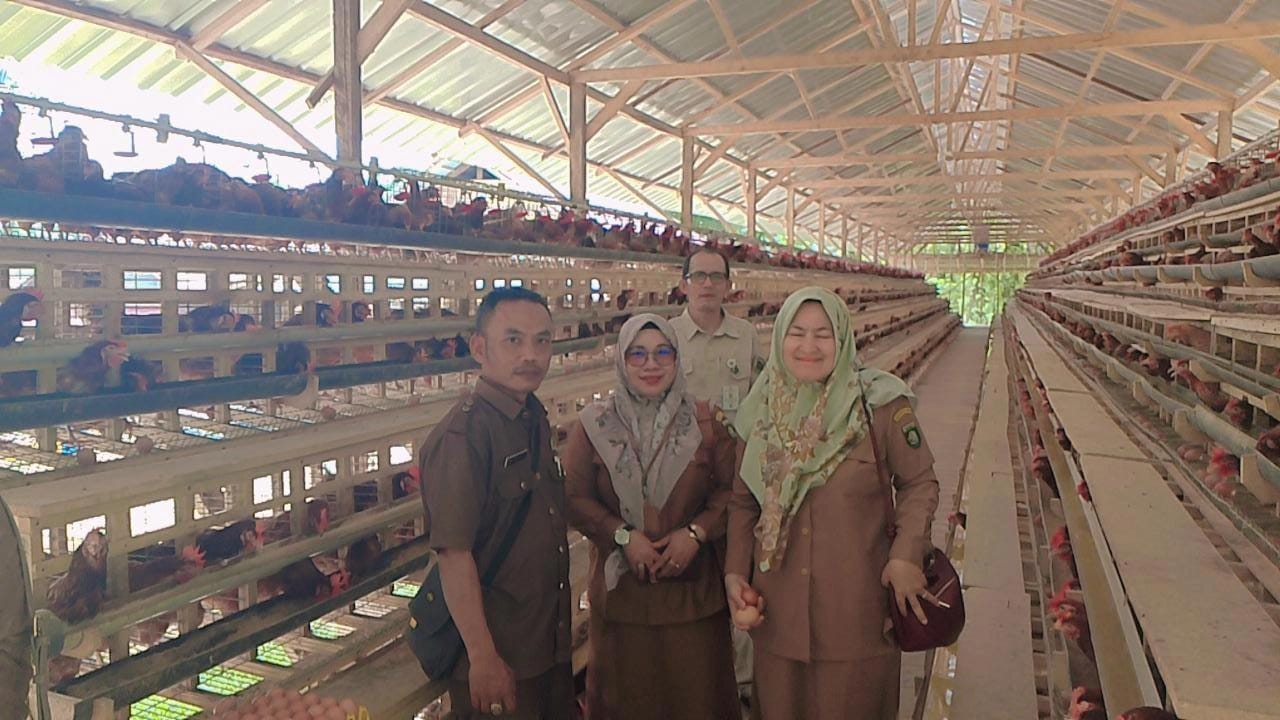 Dukung Program DD Ketapang 20%,Plt.Kadis PMD Bungo Ismatun.SH Kunjungi Kelompok Tani Ternak Ayam Petelur”Mandiri Jaya” di Dusun Sumber Harapan