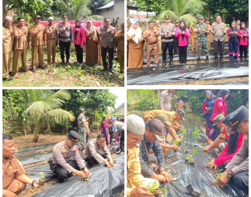 Dukung Program Kemandirian Pangan ,Kapolsek Tanah Sepenggal Gelar Kegiatan Launching Penguatan Program Pekarangan Pangan Lestari Melalui Pendekatan Terintegrasi dan Berkelanjutan