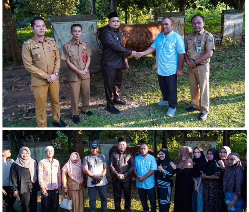Jelang Hari Raya Idul Adha,Pemdus Rantau Ikil Beruntung Menerima Bantuan Banmas dari Presiden RI Berupa 1 Ekor Sapi Kurban