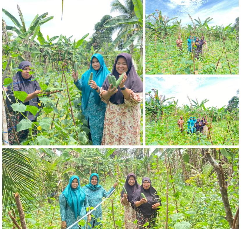 Mengubah Lahan Kosong Menjadi Ladang Sayuran, Ini Inisiatif PKK Dusun Sungai Gambir