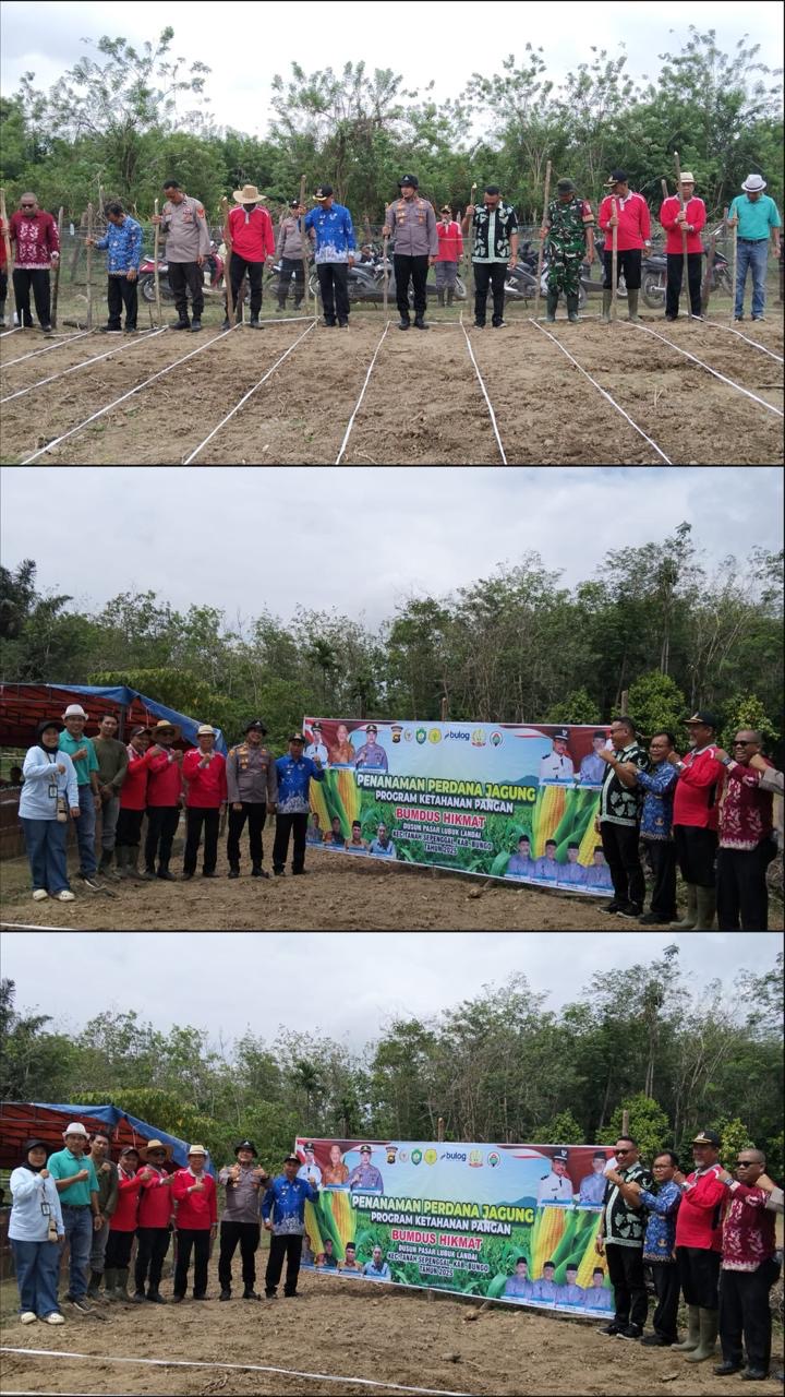 Dukung Program Ketapang Swasembada Pangan, Pemdus Pasar Lubuk Landai Beserta Jajaran Melaksanakan Penanaman jagung Serentak Seluas 1 Hektar