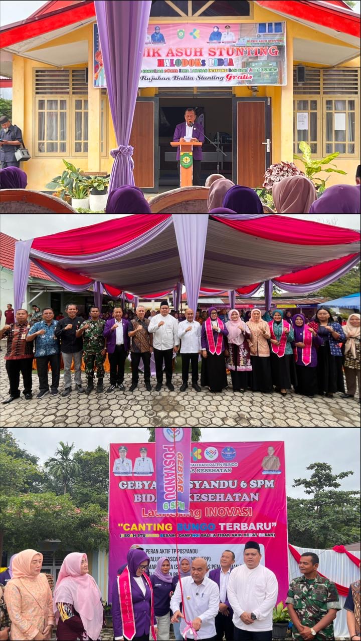 Dihadiri Langsung Oleh Bupati Bungo, Dinkes Bungo Gelar Gebyar Posyandu  6 SPM Bidang Kesehatan Sekaligus Lunching Inovasi ” Canting Bungo Terbaru “