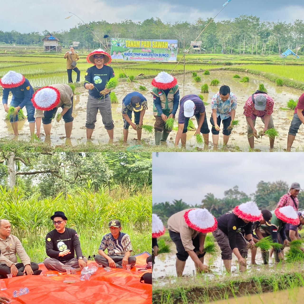 Terus Berupaya Tingkatkan Produksi Padi, Dinas TPH-Bun Gelar Tanam Padi Sawah di Dusun Pulau Pekan