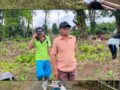 Tradisi Tahunan Sambut Datangnya Bulan Suci Ramadhan, Pemdus Tanah Tumbuh Bersama Warga Gotong Royong Bersihkan Pemakaman Umum Kampung Bulim