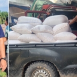 Pemkab Bungo Mulai Jual Produksi Jagungnya Ke Bulog