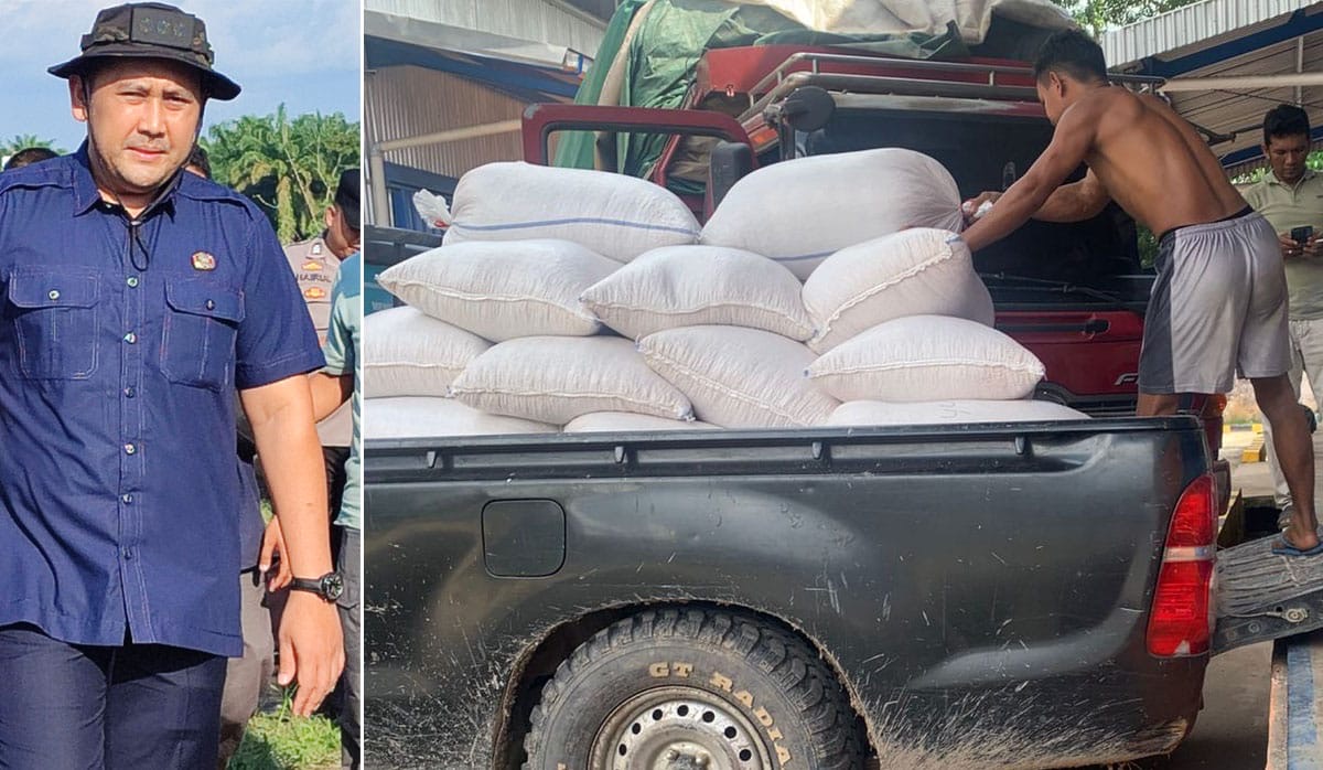 Pemkab Bungo Mulai Jual Produksi Jagungnya Ke Bulog