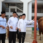 Gubernur Al Haris Serahkan Sapi Kurban Presiden Prabowo Seberat 930 Kilogram di Jambi