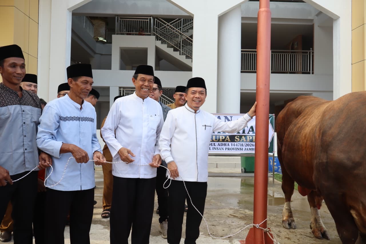 Gubernur Al Haris Serahkan Sapi Kurban Presiden Prabowo Seberat 930 Kilogram di Jambi