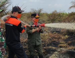 Turun Langsung Padamkan Kargutla di Air Merah, Gubernur Al Haris: Api Sudah 3 Hari, Gambut Sulit Dipadamkan