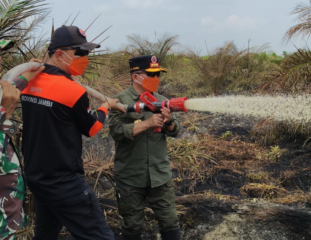Turun Langsung Padamkan Karhutla di Air Merah, Gubernur Al Haris: Api Sudah 3 Hari, Gambut Sulit Dipadamkan